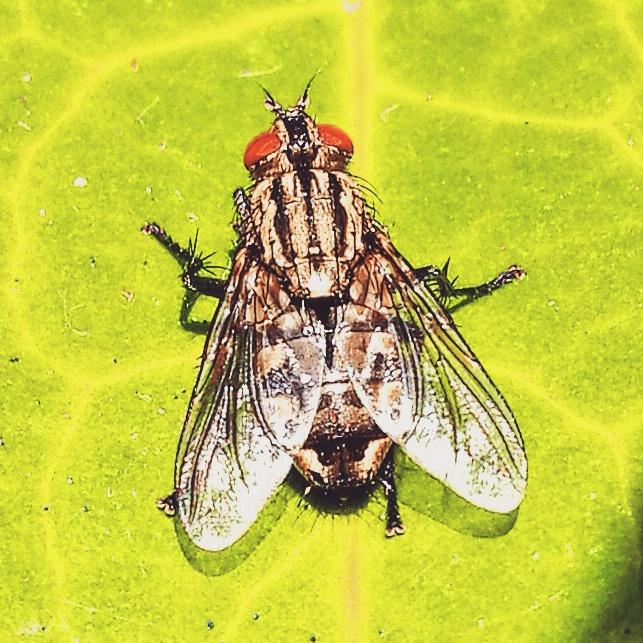 Nerd Dating 124_1579399974_IMG_20170719_195718_191.jpg